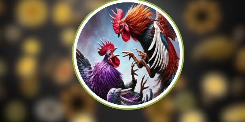Hướng Dẫn Chơi Đá Gà Sv388 Cho Người Mới 2 sv388-2
